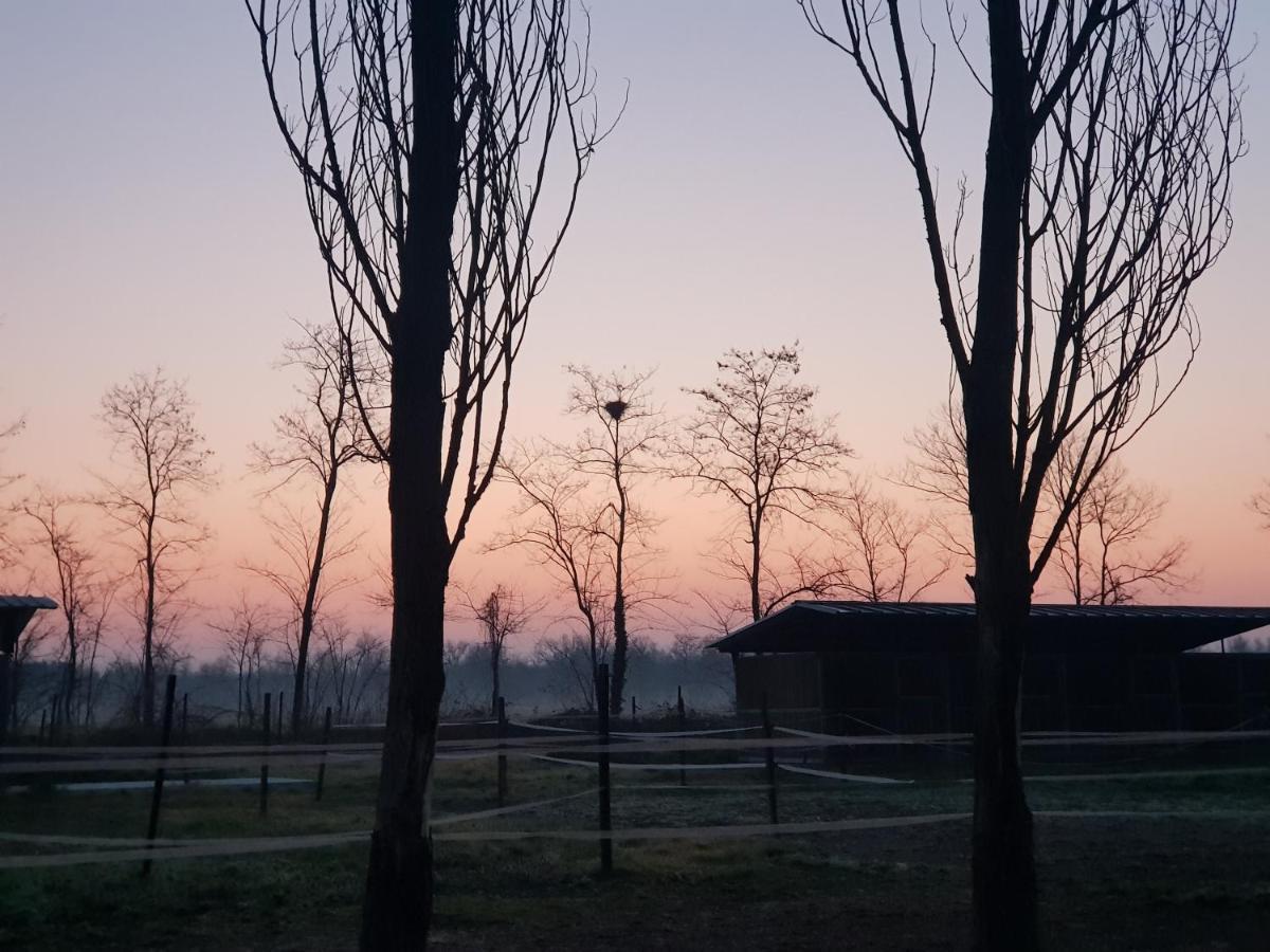 Az.Agr.Cascina Moretta Momo Exterior foto