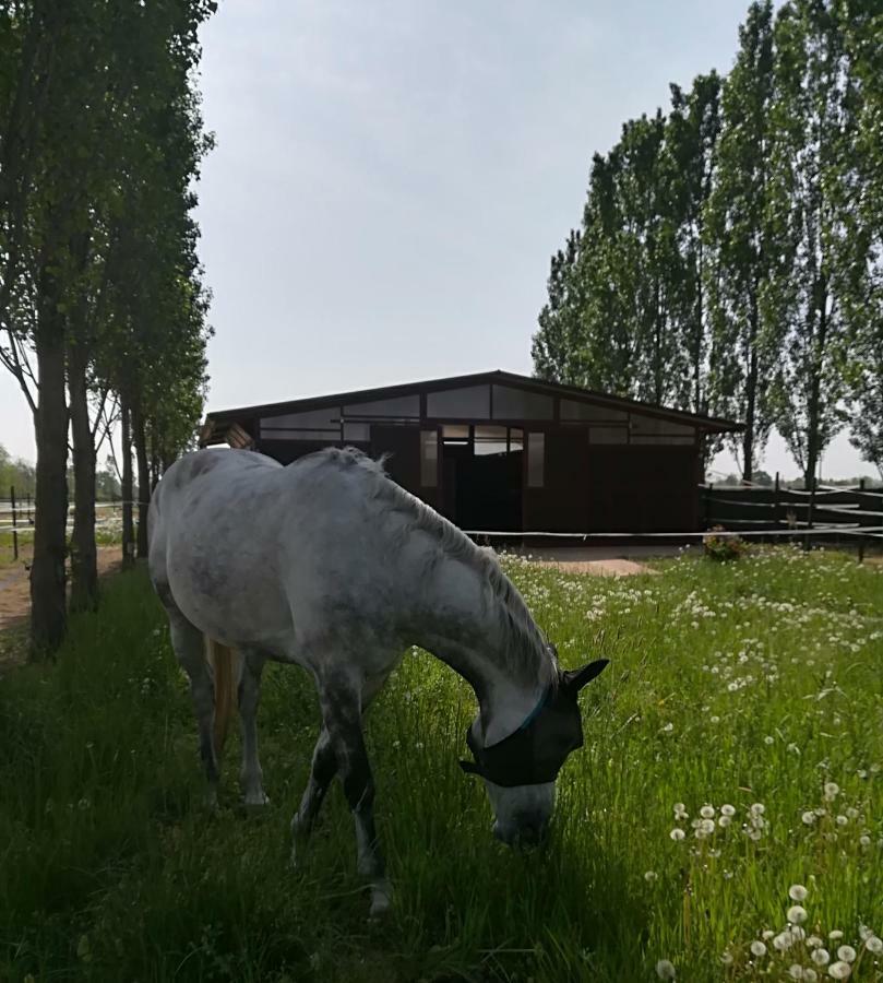 Az.Agr.Cascina Moretta Momo Exterior foto