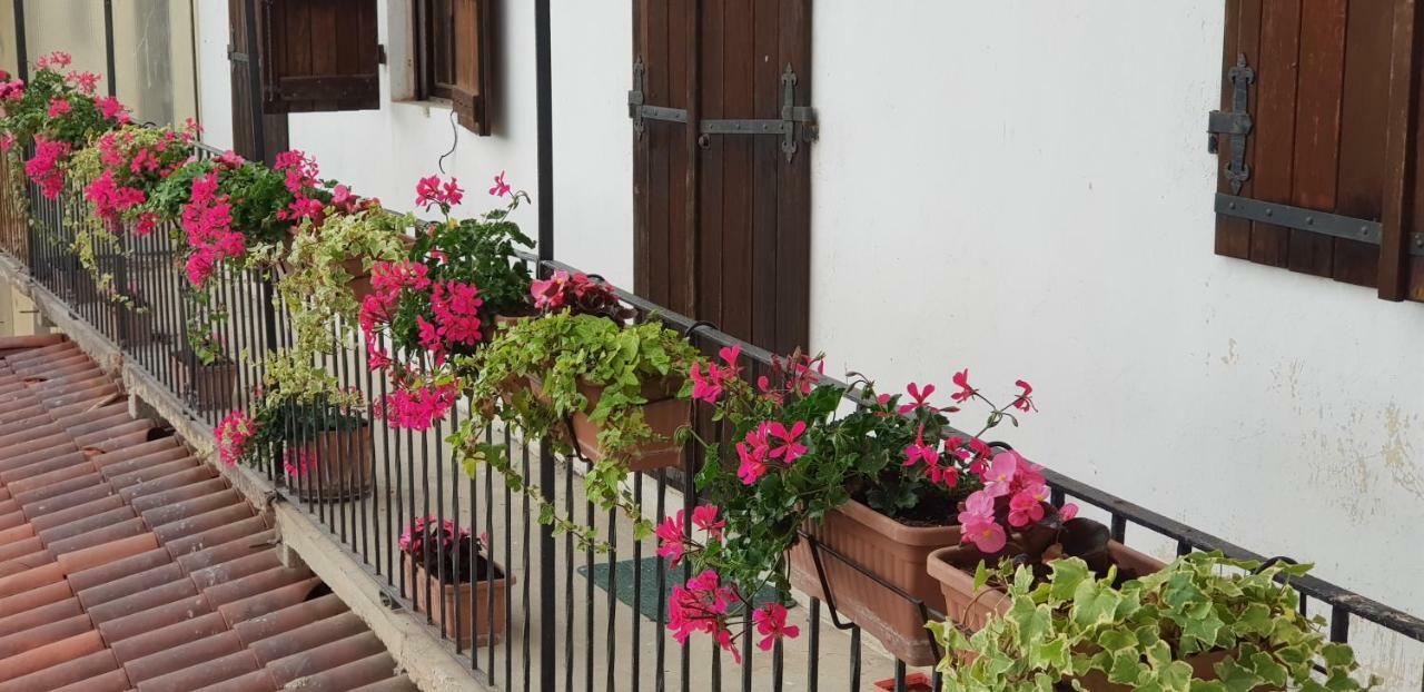 Az.Agr.Cascina Moretta Momo Exterior foto